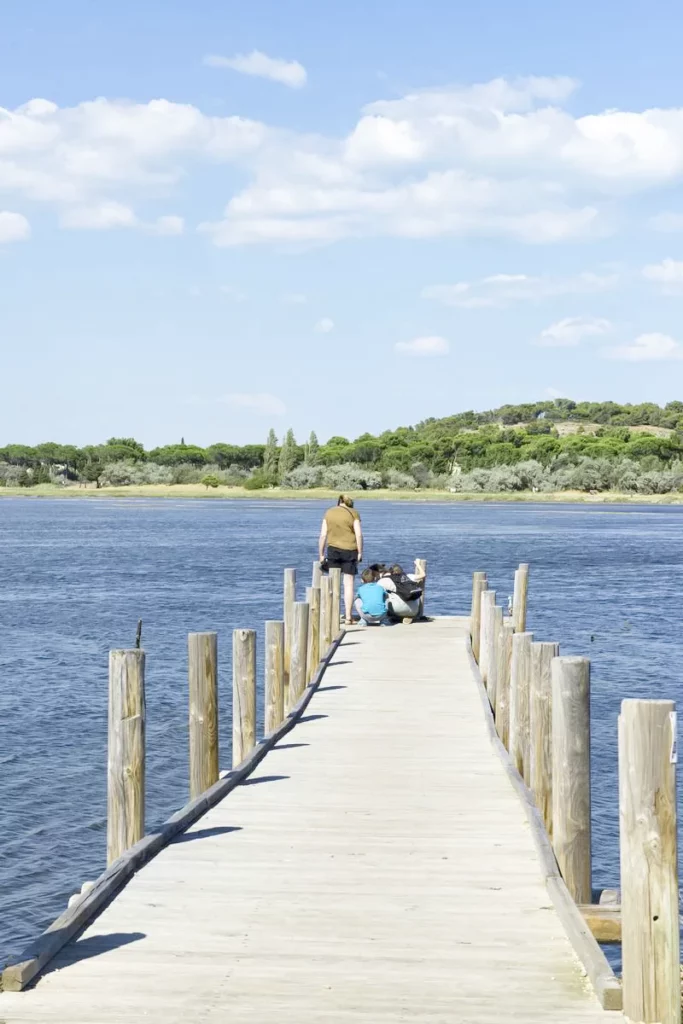 camping bord de lac aude gruissan